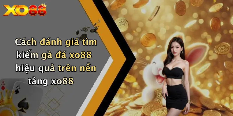 Cách đánh giá tìm kiếm gà đá XO88 hiệu quả trên nền tảng XO88